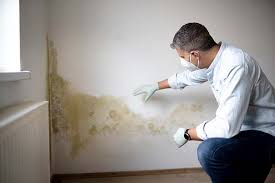 Mold Removal for HVAC Installations in Colfax, WA